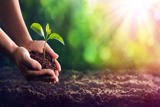 HM-Packaging Social Responsibility