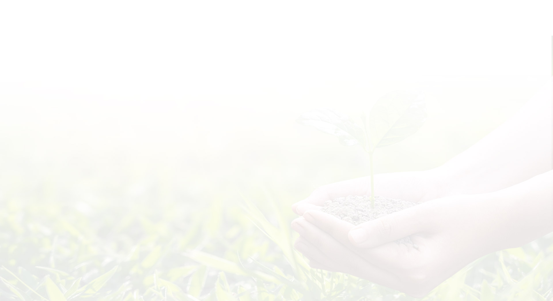 HM Packaging is Growing Up