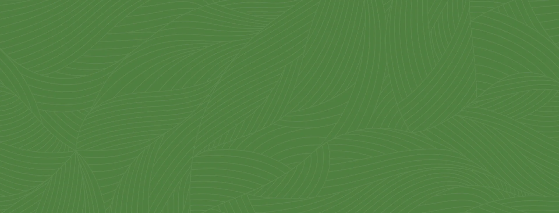 HM Packaging Pac Works