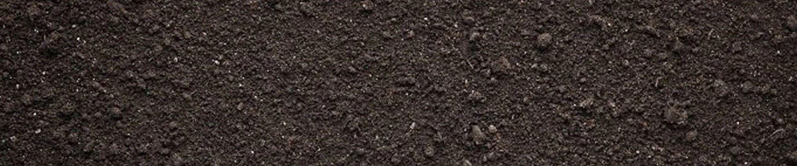 Paper Food Packaging Bags